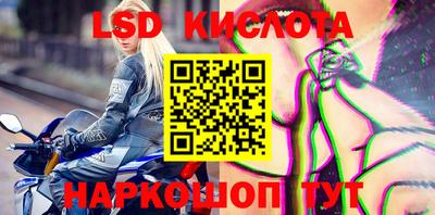 сатива Аргун