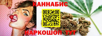 сатива Аргун