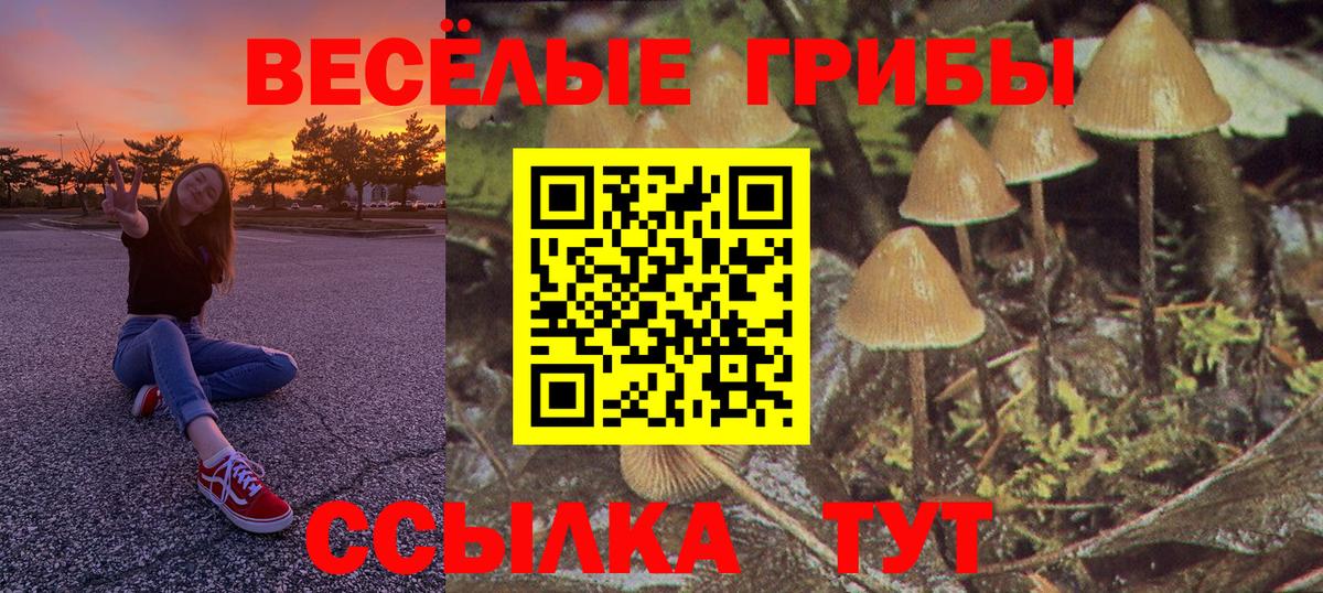 Псилоцибиновые грибы мухоморы  Вход с VPN  Уссурийск 